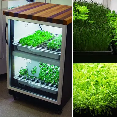 Urban Cultivator indoor garden