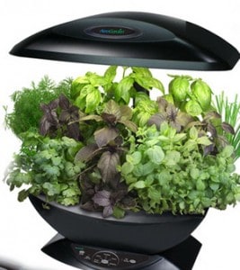 Indoor garden light kit