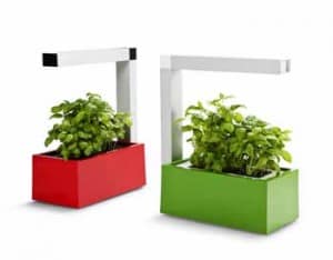 Herbie hydroponic kitchen garden