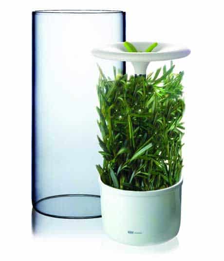 fresh herbs keeper by Art and Cook Art-and-Cook-fresh-herb-keeper