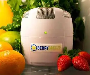 BerryBreeze-refrigerator-air-filter-deodorizer