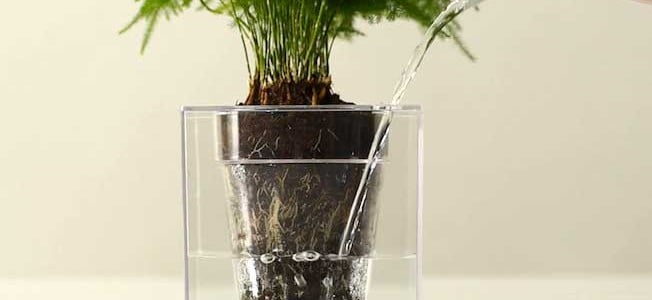 Boskke Cube Planter