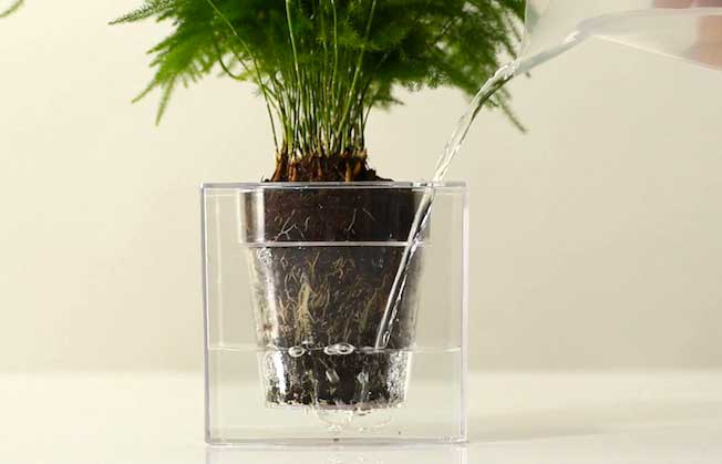 Boskke Cube Planter