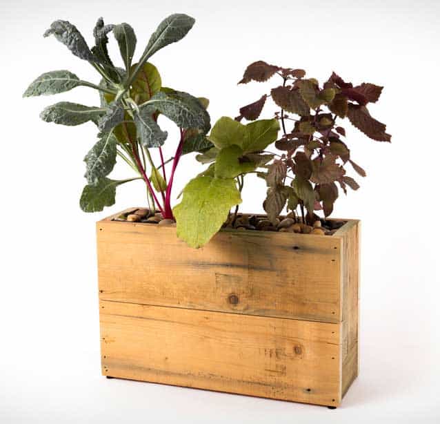 Modern Sprout hydroponic plugin planter