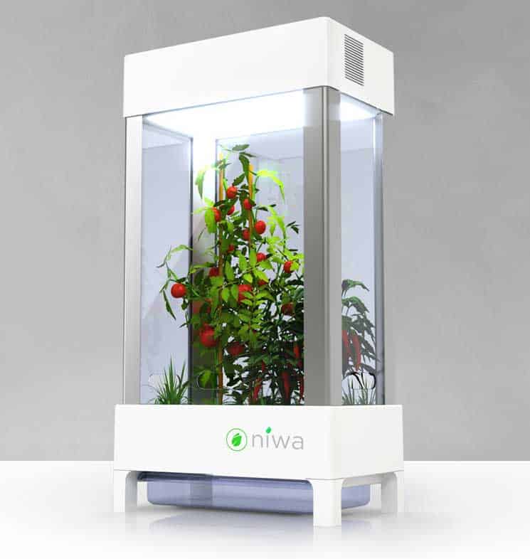 niwa-smartphone-connected-home-hydroponics-system