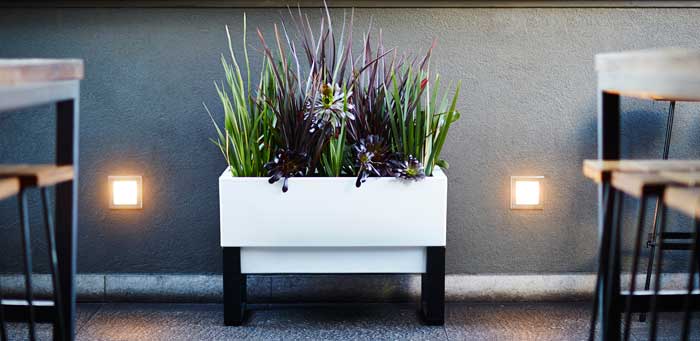 Glowpear-self-watering-Urban-Garden