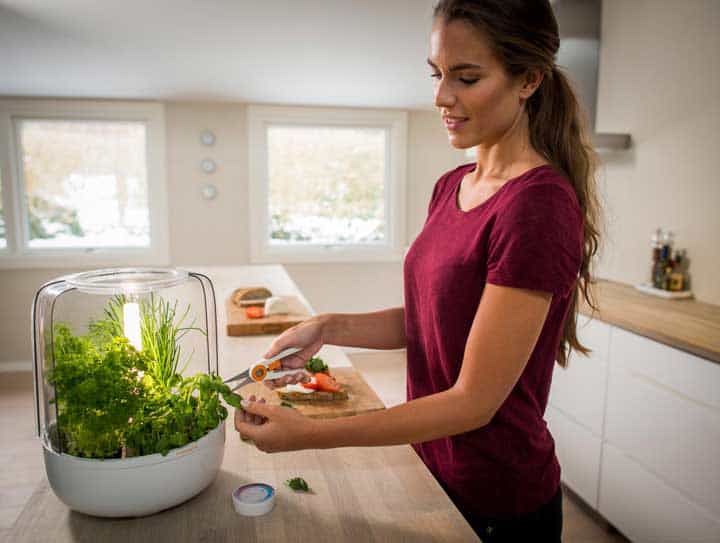 always have fresh picked herbs at your disposal