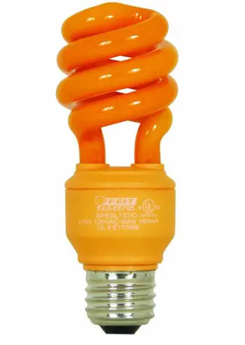 Amber-Orange-Bulbs
