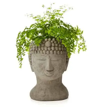 zen-buddha-planter