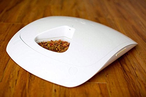 Feed-and-Go-automatic-pet-feeder