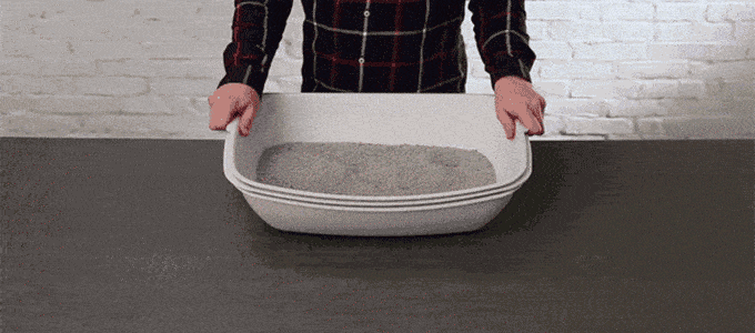 cat litter box 2.0