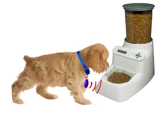 Wireless-Whiskers-AutoDiet-Pet-Feeder