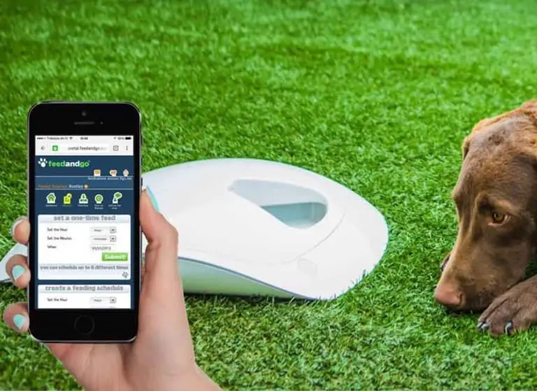 Feed and Go automated pet feeder