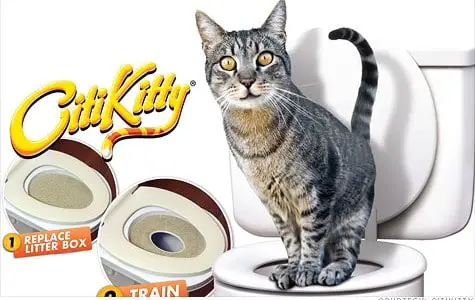 citikitty cat toilet training kit