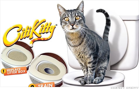 citikitty cat toilet training kit