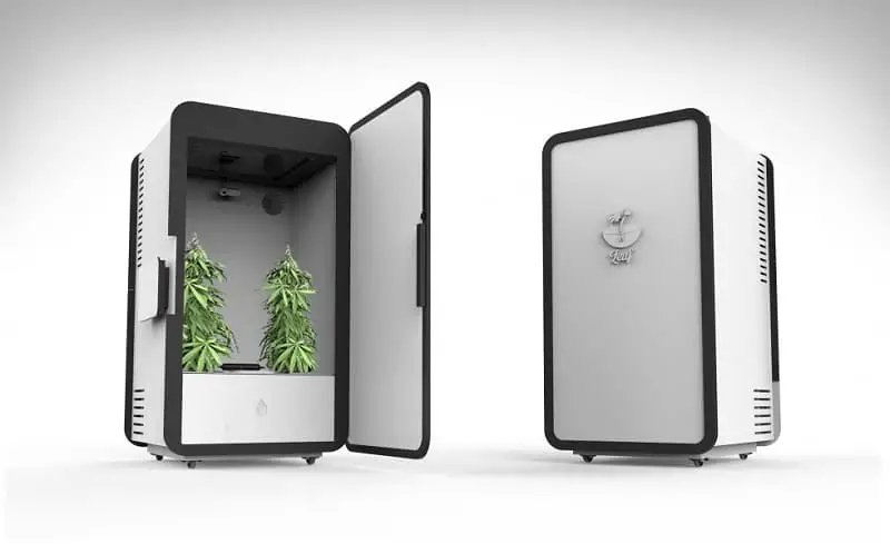 next level weed growing with this smart system