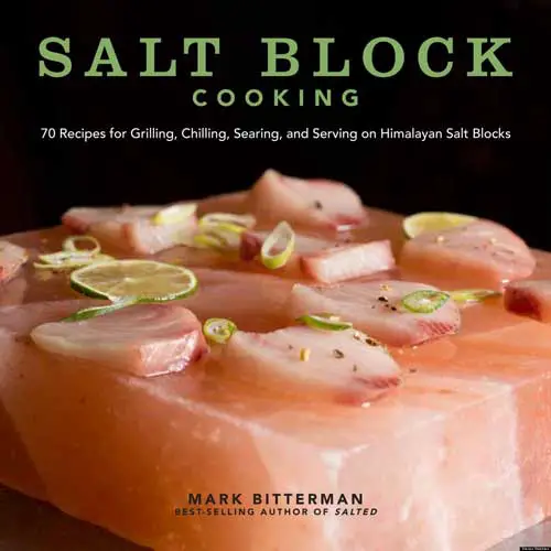 salt-block-cooking-cookbook