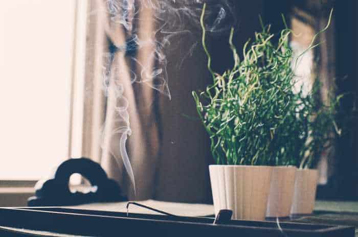 incense helps mice relax, studies show