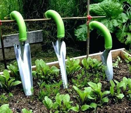 Radius ergonomic weeder